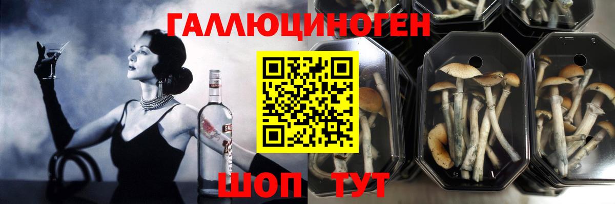 Ухта  Псилоцибиновые грибы мухоморы  Вход с VPN 